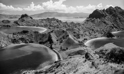 Indonesien - Komodo Island - Trip to Komodo Island: Pink beaches, Snorkeling, Staying in a Traditional Village in Indonesia and more - 5