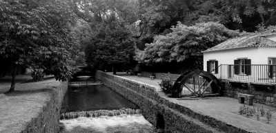 Portugal - Furnas - Discover the Natural Wonders of São Miguel, Azores: Hiking and Hot Springs Adventure in Portugal - 5