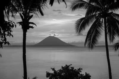 Indonesia - Manado - Beach Paradise in Indonesia 🏖️ with All Meals and Diving Lesson! Perfect for Snorkeling, Diving and Relaxing 🏄🌞