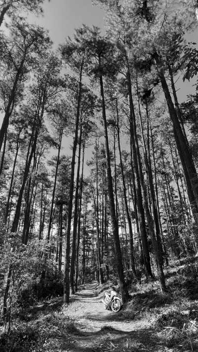 Vietnam - Điện Biên Phủ - Vietnam Chronicles: Journey Through Ancient Dynasties and Thrilling Landscapes - 6