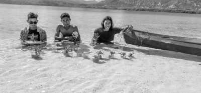 Indonesia - Rinca Komodo Travel - Social Project Trip and Exploring Komodo National Park, Island Hopping and more from Indonesia - 19