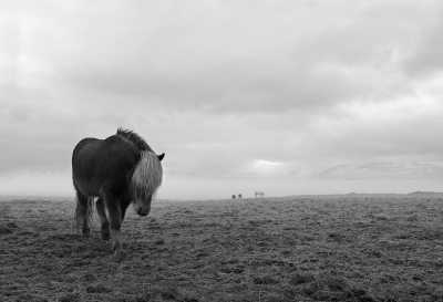 Iceland - Mið-Mörk - Iceland Photo Tour 📸 Be Inspired by Iceland!
