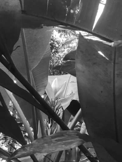 Brazil - Una Beach - Travel Like a Local to North Shore of São Paulo - 5