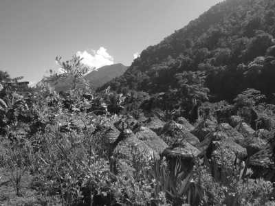 Kolumbien - Camino Ciudad Perdida - The Kogi Tribe and Special Lost City Trek - Ancestral Colombia Adventure trip: - 1