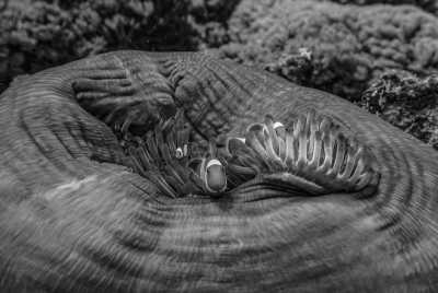 Indonesien - Gili Trawangan - Exclusive Girls Trip || Uncover the secrets of Bali 🌍✈️ - 1