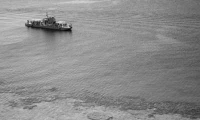 Egypt - Ras Mohamed Nature Reserve - Start your year in the mesmerizing embrace of Sharm El Sheikh's beauty and charm. - 1