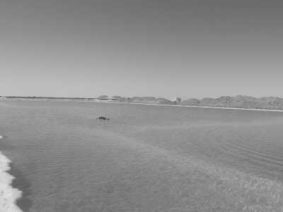 Ägypten - Siwa Oasis - Explore Siwa Oasis in Egypt with a Local! - 2