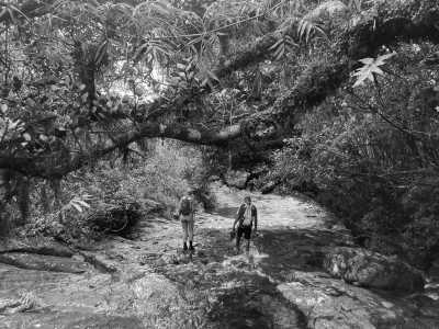 Sri Lanka - Thangappuwa - Exploring Knuckles: Hiking the Hidden Gem of Sri Lanka - 2