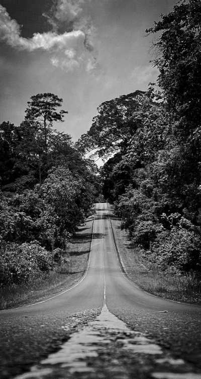 Thailand - Khao Yai National Park - Enchanting Exploration: Haew Suwat Waterfall, Stunning Temples, and Khao Yai National Park in Thailand - 3