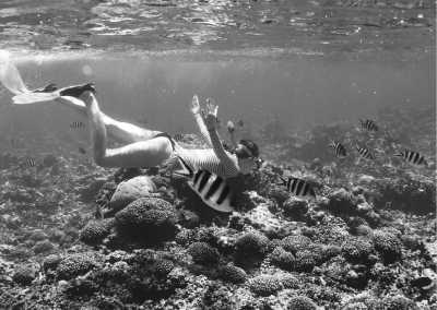 Tanzania - Green's Nungwi - Exploring the Enchanting Beauty of Zanzibar, Tanzania: A Captivating Travel Destination