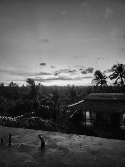 Philippines - Lexias Hostel Workspace Siargao - Ultimate Nomad Experience: Stress-Free 28-Day Adventure in Philippines!