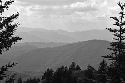 Vereinigte Staaten - Waynesville - 🍝 All-inclusive Luxury Smoky Mountain Cabin Escape (PRIVATE ROOM) 🏔 - 1