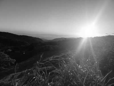 Costa Rica - Monte Verde - Costa Rica Essentials🌴: San José-Monteverde-La Fortuna-Manuel Antonio. Hanging Bridges🌳 Thermal Waters🌋& Wildlife🐒 - 2