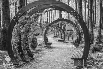 Litauen - Druskininkai - Find a perfect work-life balance: Workcation in Spa Town. Yoga Everyday, Kayaking and much more. - 5