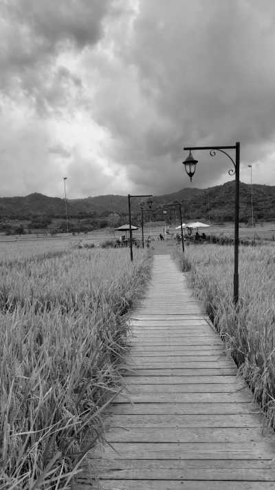 Indonesia - Mahaloka Paradise - Your Cultural Trip in Yogyakarta, Indonesia: Borobudur Buddhist and Prambanan Hindu Temple Pyramid - 3