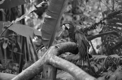 Colombia - Cali - Journey on Motorcycle through Colombia - 1