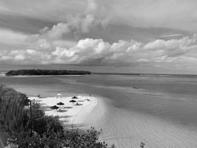 Malediven - ADDU Nurse Shark Sanctuary - Discover Maldives: Your Ultimate Adventure Escape! 🌊✨ - 1