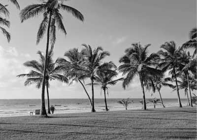 Kenya - Diani Beach - Diani Beach Adventure: A Kenyan Co-Working Retreat