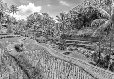 Indonesia - I Gusti Ngurah Rai International Airport - Bali with Ashley Sellers - 3