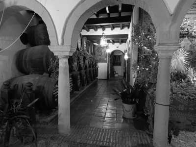 Spanien - Córdoba - Andalusia Countryside ''La Dolce Vita'' Coliving Experience and Meditation Retreat - 7