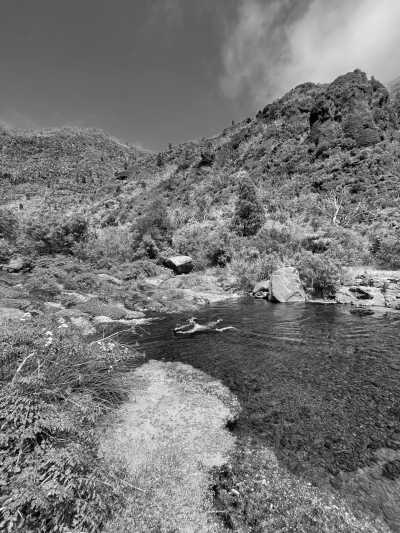 Portugal - Boaventura - Coworkation, Coliving and Adventurous Hiking Trip with a Knowledgeable expat on the dream island of Madeira (Single rooms) - 5