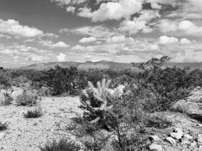 Mexiko - Estación Wadley - Peyote Experience Camping Trip into Wirikuta Desert, Mexico