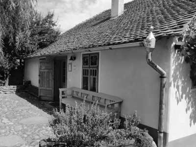 Romania - Viscri 32: White Barn and Blue House - Transylvanian Expedition Chapter One: Step into The Legends of Transylvania - 2
