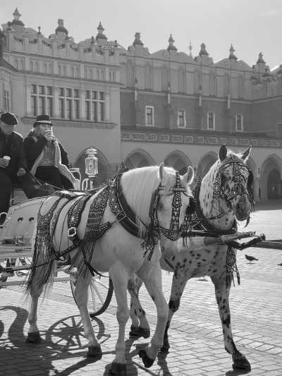 Poland - Kraków - Explore the Authenticity of Poland: Experience Local Culture and Travel Off the Beaten Path - 6