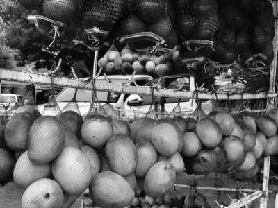 Südliches Afrika - Mapungubwe National Park - Mystery South Africa Adventure and Culture Camping Trip - 4