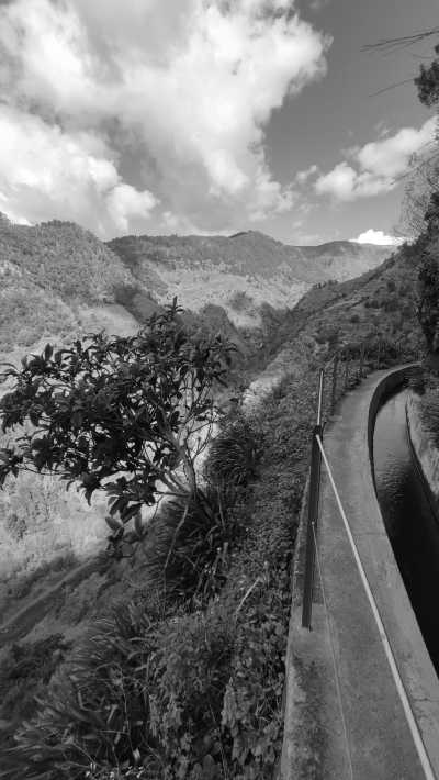 Portugal - Levada Nova - Hikes, local food, swimming with dolphins 🌅 The Ultimate Adventure in Madeira, Portugal🏄‍♂️ - 2