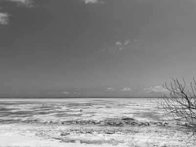 Tanzania - Jambiani - Zanzibar Coworking Experience: Your Journey Starts Here - 5