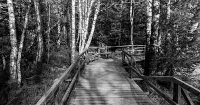 Deutschland - Wildseemoor - Step into the Flow | Hohenzollern Castle | Sankenbach Lake & Falls | Black Forest | 3 days - 7