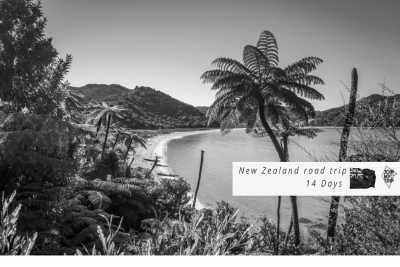 New Zealand - Kaiteriteri Beach - 🇳🇿🗺 Entdecke die Geheimnisse Neuseelands 🗺🇳🇿 - 1