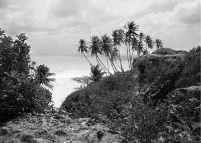 World - Barbados - Sun, Sea, and Santa: Christmas Magic Awaits in Barbados! - 2