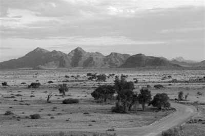 Subsahara-Afrika - Kamanjab - Expedition Kapstadt - Namibia - Victoria Falls