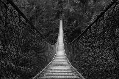 Canada - Lynn Canyon Suspension Bridge - Vancouver Escape: City, Sea, and the best travel buddies!