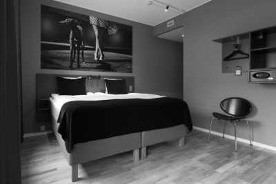 Sweden - Stockholm - Winter Adventure: Sled Dog Tour, Northern Lights and Wild Safari in Sweden☃️ - 3