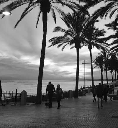 Spain - Marbella - (2weeks) Escape, Connect, Dream: Join the Ultimate Co-Living & Co-Working Retreat in Marbella! - 2