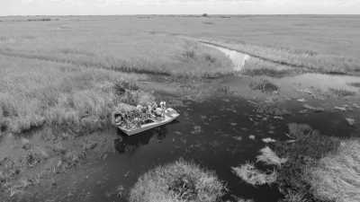 United States - Everglades - Surf, Street Art, wetlands forest & New Year's Eve in Miami - 1