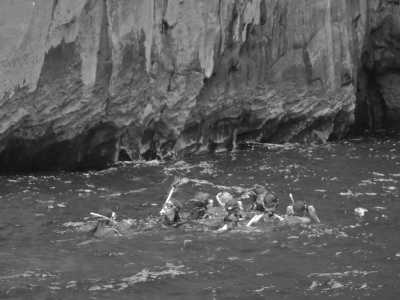 Ecuador - San Cristóbal Island - 5 Days Galapagos Adventure - 2