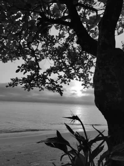 Brazil - Santo Antonio de Lisboa - Backpacker's Paradise: 7 Days of Beaches, Culture, and Adventure in Florianopolis, Brazil - 3