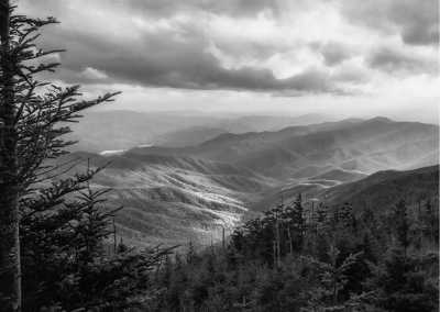 India - Pin Valley National Park - Immersive, Slow Travel in Spiti Valley of Himachal Pradesh, in Indian Himalayas