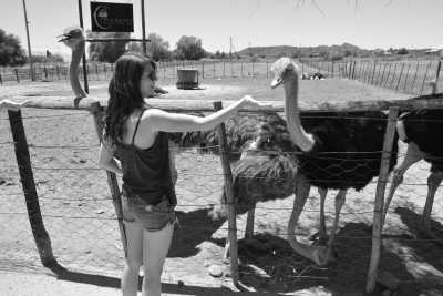 South Africa - Oudtshoorn - Cape Town and the Garden Route 🇿🇦 Explore South Africa with a Local - 6