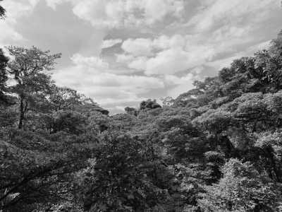 Costa Rica - Monte Verde - Costa Rica Essentials🌴: San José-Monteverde-La Fortuna-Manuel Antonio. Hanging Bridges🌳 Thermal Waters🌋& Wildlife🐒 - 1