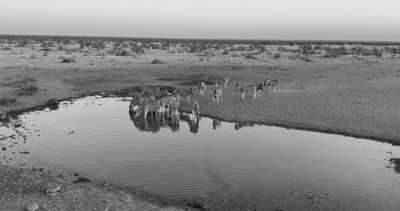 Subsahara-Afrika - Etosha National Park - Namibia - Botsuana - Sambia - Simbabwe - 3
