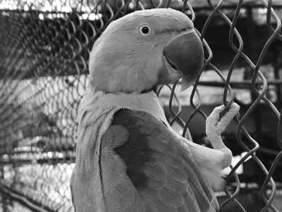 Cambodia - Kirirom National Park - Natural Cambodia - 🐾 a trip that no one has ever taken ⚡ (Angkor temples, capital, jungles and relax at the Island are included!) - 5