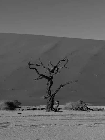 Namibia - Sesriem - Namibia : Road Trip Safari Adventure - 8