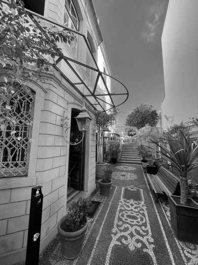 Portugal - Funchal City Center - Coworkation and adventurous hiking trip with a knowledgeable expat in the centre of Funchal, Madeira (single rooms) - 9