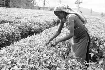 Sri Lanka - Mulgirigala Raja Maha Viharaya - Kurztrip nach Ella, Sri Lanka - Udawalawa Nationalpark, Little Sigiriya und Mehr!