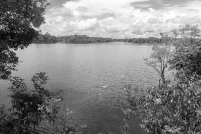 Brazil - Rio Juma - Amazon Expedition: 7-days immersion with a riverside family in the Amazon. - 3